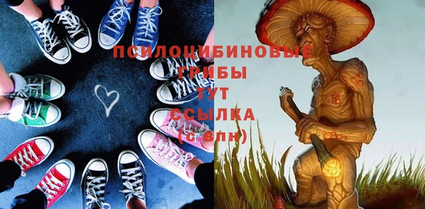 прущие грибы Алапаевск
