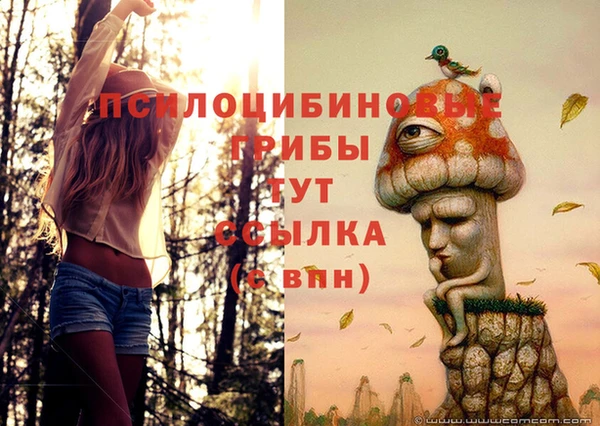 мескалин Богородск
