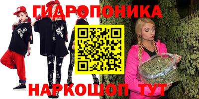 тгк Бийск