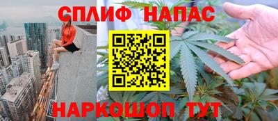 дмт Беслан