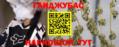 тгк Бийск