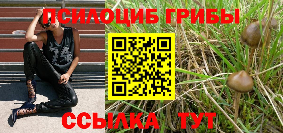 Псилоцибиновые грибы прущие грибы  Вход с VPN  как найти закладки  Вятские Поляны  Псилоцибиновые грибы Psilocybine cubensis 
