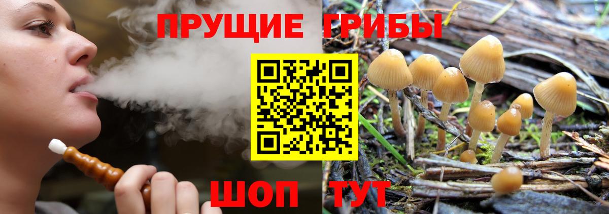 Псилоцибиновые грибы MAGIC MUSHROOMS Вятские Поляны