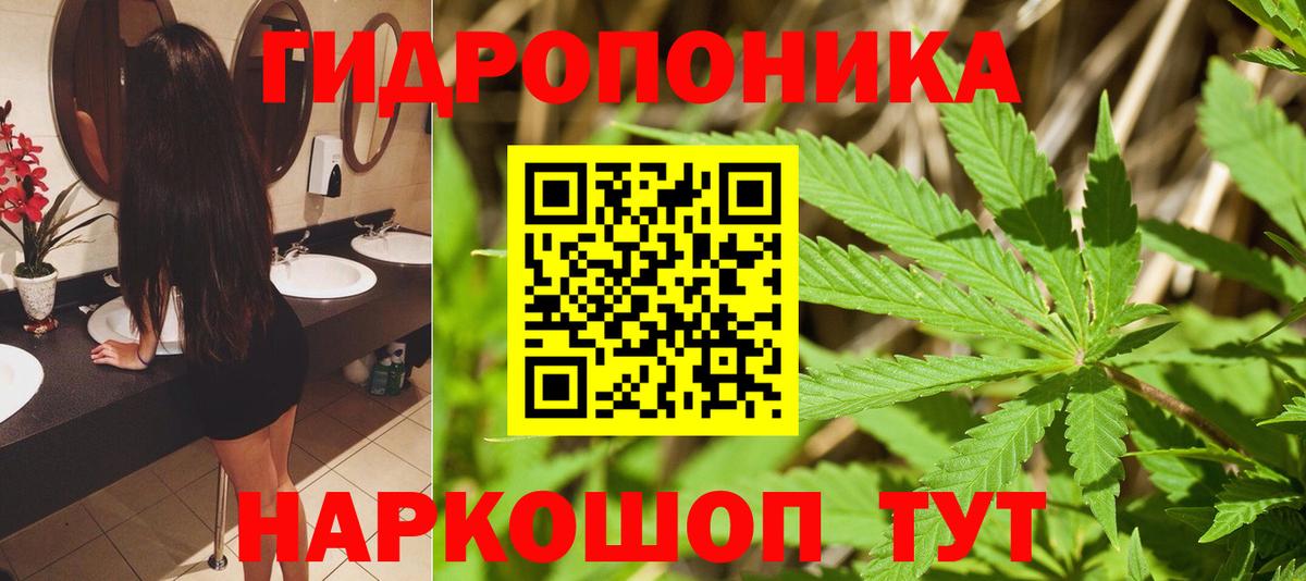 Шишки марихуана сатива Вятские Поляны